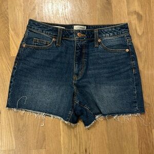 High Rise Jean Shorts